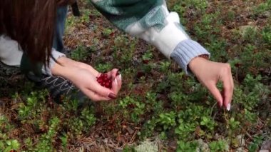 Çocuğun elleri böğürtlenli