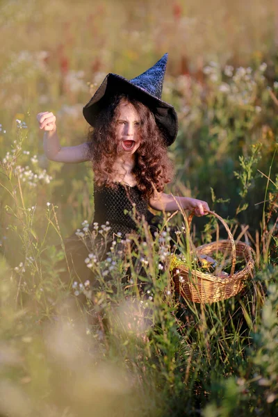 Uma menina em um vestido preto e um chapéu de bruxa coleta ervas para uma poção. — Fotografia de Stock