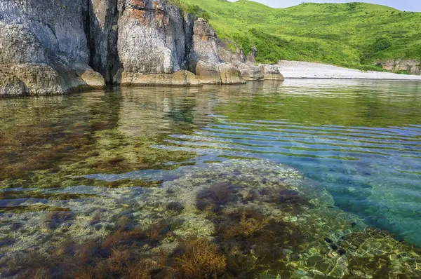 Fondo marino — Foto de Stock