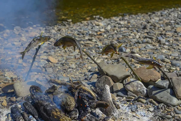 Tütsülenmiş balık.