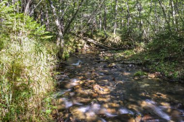 Habarovsk Krayı kuzeydoğusunda nehirde dağ