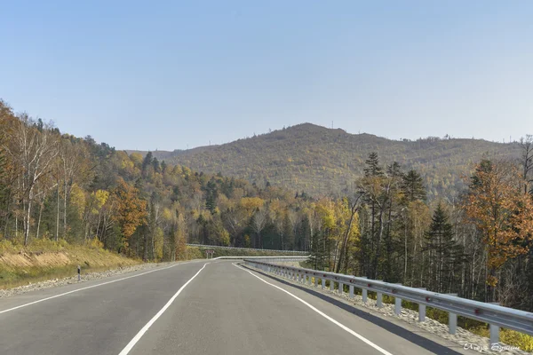 Dağ yolundan uzak doğu Tayga üzerinde.