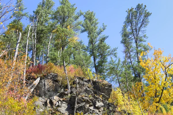 Sonbaharın renkleri.