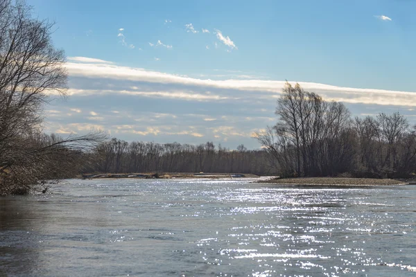 Mountain River Anuy . — Stock Photo, Image