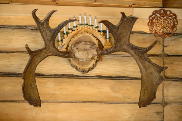 duvardaki geyik kafası.