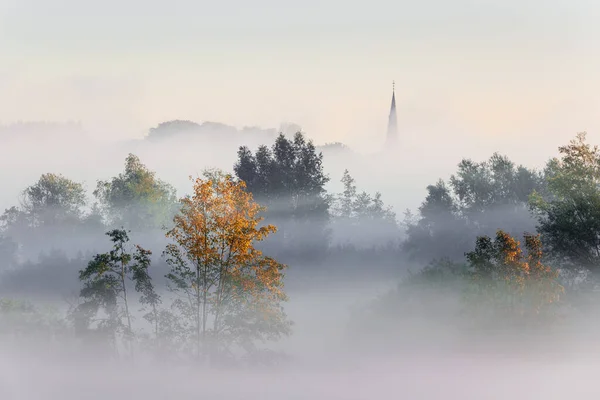 Flanders 'da Tielrode Kilisesi' ne doğru manzaralı gerçek bir sisli manzara..