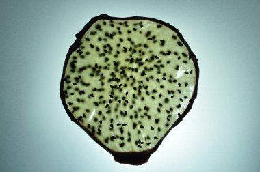 Kurutulmuş Pitaya izole