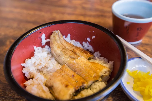 Unaju (una-don), rice 与日本烤条. — 图库照片
