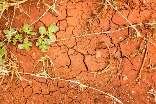 Kırık zemin, Kuru çamur ile doku bırakır