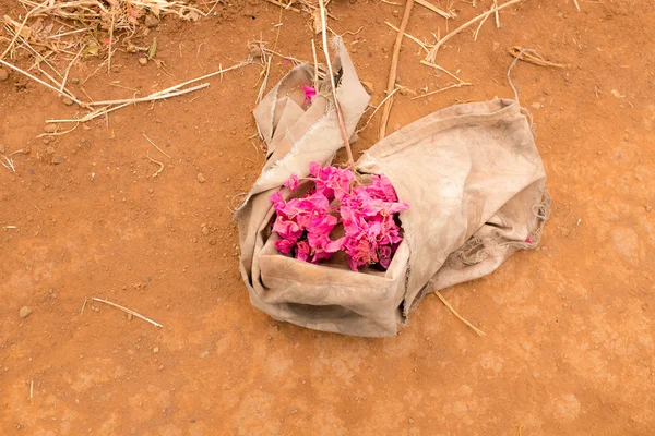 Kuru zemin çiçek grup ile