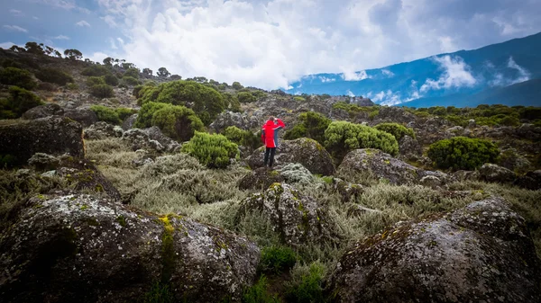 Çocuk kırmızı ceket macera aşırı tatil