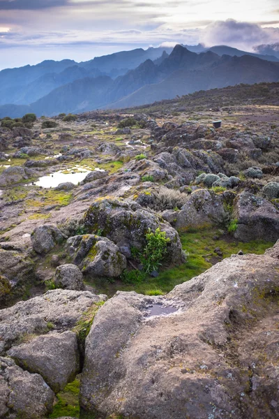 Kilimanjaro üstten görünüm kar
