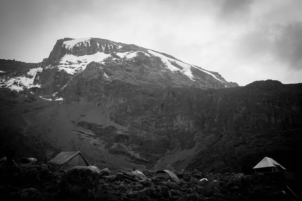 Kilimanjaro'nun Karları