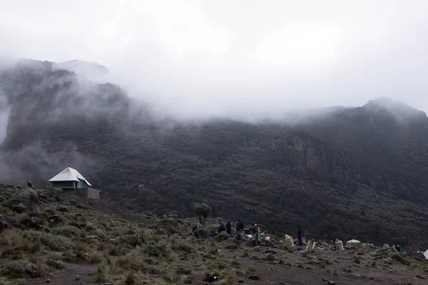 Kilimanjaro görünümü kampı siste