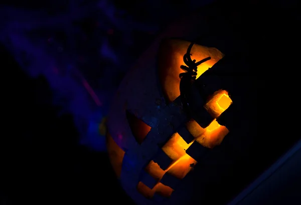 Örümcekli Cadılar Bayramı kabağı