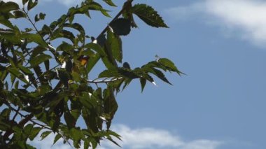 Bulutlar gökyüzünde hızla süzülüyor