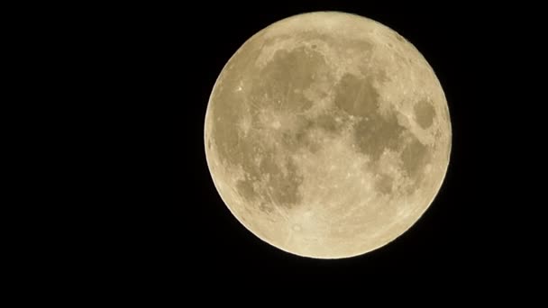 Grote Maan Volle Maan Aan Nachtelijke Hemel — Stockvideo