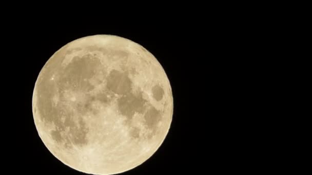 Wielki Księżyc Pełnia Nocnym Niebie — Wideo stockowe