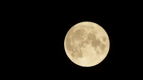 Luna Piena Luna Piena Nel Cielo Notturno — Video Stock