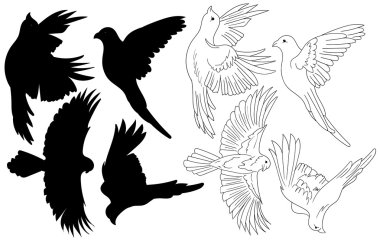 vector flying shapes of birds logo 