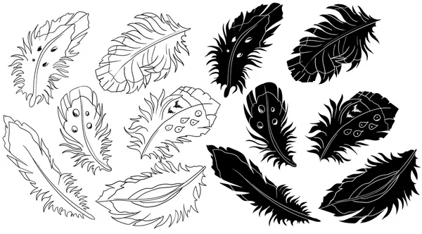 Ilustración vectorial con plumas negras aisladas — Vector de stock