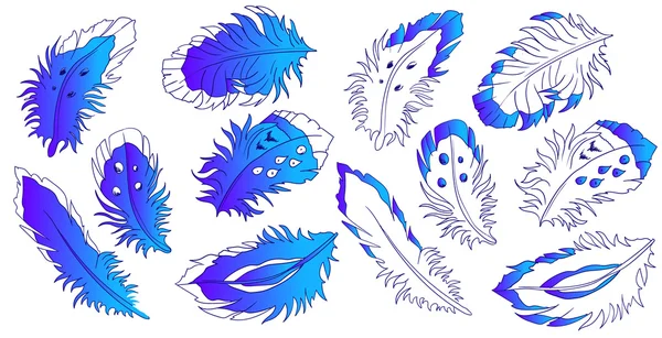 Blue feathers logo collection — Stock Vector