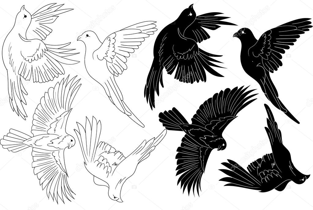 vector flying shapes of birds logo 