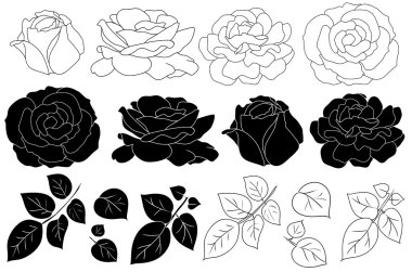 Vector illustration with blue,red, yellow and green leaves roses