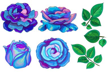Vector illustration with blue,red, yellow and green leaves roses