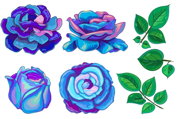Vector illustration with blue,red, yellow and green leaves roses — 图库矢量图片