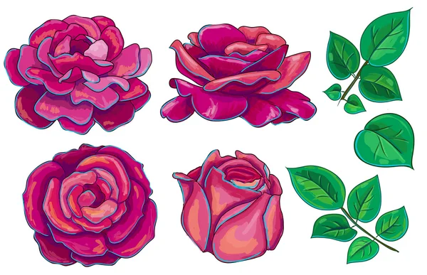 Ilustração vetorial com rosas vermelhas, amarelas e verdes — Vetor de Stock