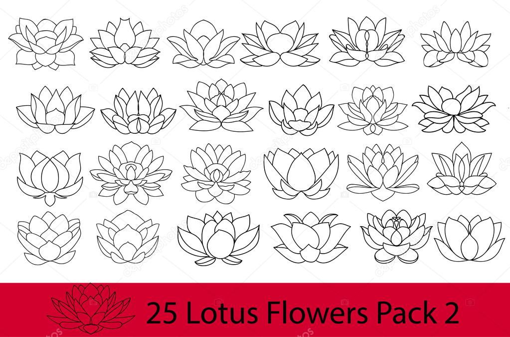 Lotus flowers black and white silhouette, modern flat icons. Set of vector hand drawn lotos flower logo illustrations isolated on white background, thin line collection