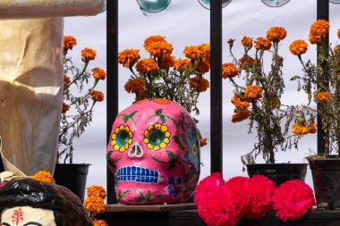 Masada bazı çiçeklerin yanında pembe bir kafatası var. Kafatası çiçeklerle süslenmiş ve mavi bir kafatası var. Meksika Ölüler Günü geleneği, adaklar, yemek, renkler, dekorasyonlar ve papel picado, La Catrina.