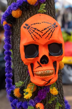 Altın ağızlı ve dişli bir kafatası ağaçtan sarkıyor. Kafatası turuncu ve siyah. Meksika Ölüler Günü geleneği, adaklar, yemek, renkler, dekorasyonlar ve papel picado, La Catrina.