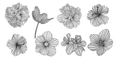 Soyut çiçeklerin tasviri. Çizgi vektör sanatı