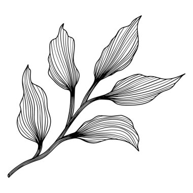 Soyut yaprak tasviri. Çizgi vektör sanatı