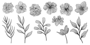 Soyut çiçek ve yaprakların tasviri. Çizgi vektör sanatı