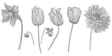 Çiçek tasviri. Satır sanatı