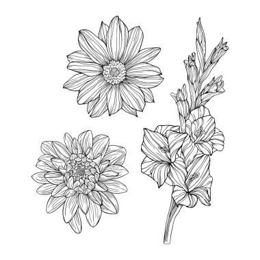 Çiçekler beyaza saçılmış. El çizimi vektör çizimi. Eps 10