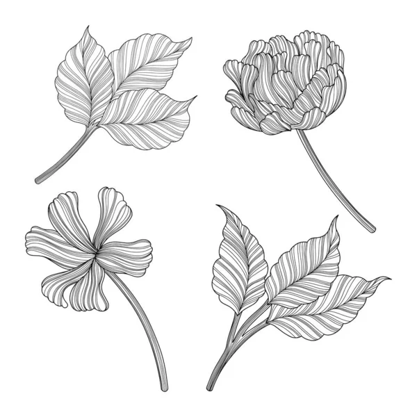 Εικονογράφηση Αποστηθισμένων Λουλουδιών Γραμμική Διανυσματική Τέχνη Eps10 — Διανυσματικό Αρχείο