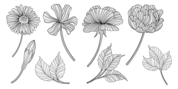 Illustration Von Abstinenten Blumen Linienvektorkunst Eps10 — Stockvektor