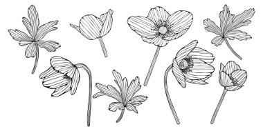 Çiçekler beyaza saçılmış. El çizimi soyut vektör çizimi