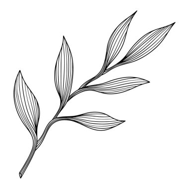 Beyazlar üzerinde yalıtılmış bırakır. El çizimi vektör çizimi. Eps 10