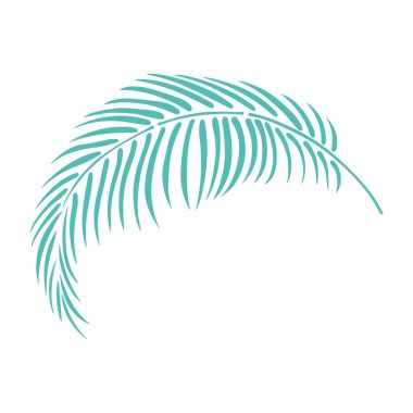 Yaprak beyazda yalıtılmış. Tropikal yaprak. El çizimi vektör illüstrasyonu