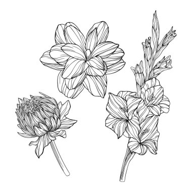 Çiçekler beyaza saçılmış. El çizimi vektör çizimi. Eps 10