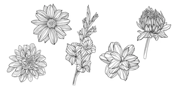 Квіти Ізольовані Білому Рука Намальована Лінія Векторні Ілюстрації Епс — стоковий вектор