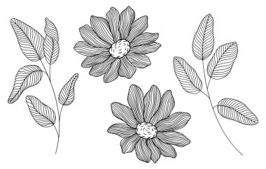 Soyut çiçekler ve yapraklar. Beyazda izole edilmiş. El çizimi vektör çizimi. Eps 10