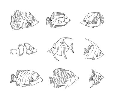 Tropik balık koleksiyonu. Farklı tropikal balıklar. Arkaplan için vektör illüstrasyonu