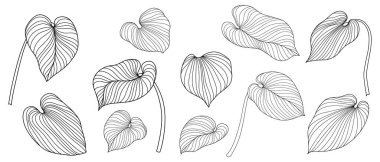 Beyazın üstünde tropik yapraklar. El çizimi vektör illüstrasyonu