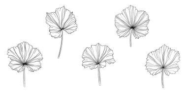 Beyazlar üzerinde yalıtılmış bırakır. El çizimi vektör çizimi. Eps 10